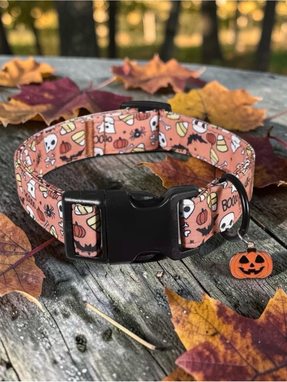 Halloween Print Pet Collar with Carved Pumpkin Charm! Adjustable, SZ - Med.